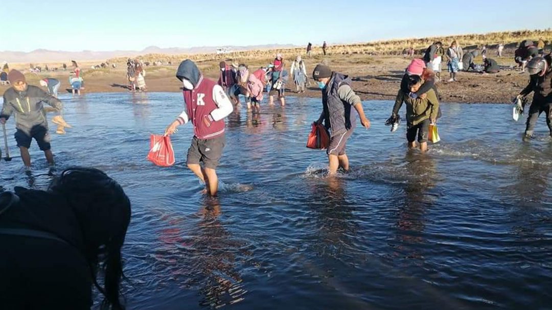 Desde tempranas horas pobladores asistieron al río Coata para recoger