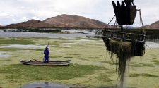 lago Titicaca