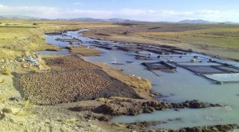 Descontaminación del río Zapatilla