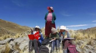 Educación a distancia Puno