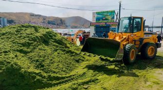 Limpieza de la lenteja de la bahía del lago Titicaca