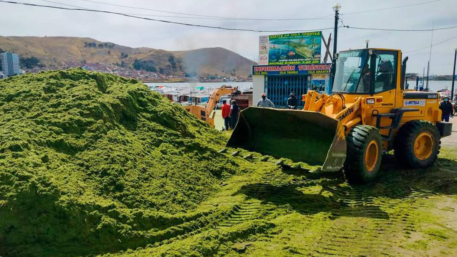 Limpieza de la lenteja de la bahía del lago Titicaca