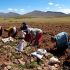 Agricultura
