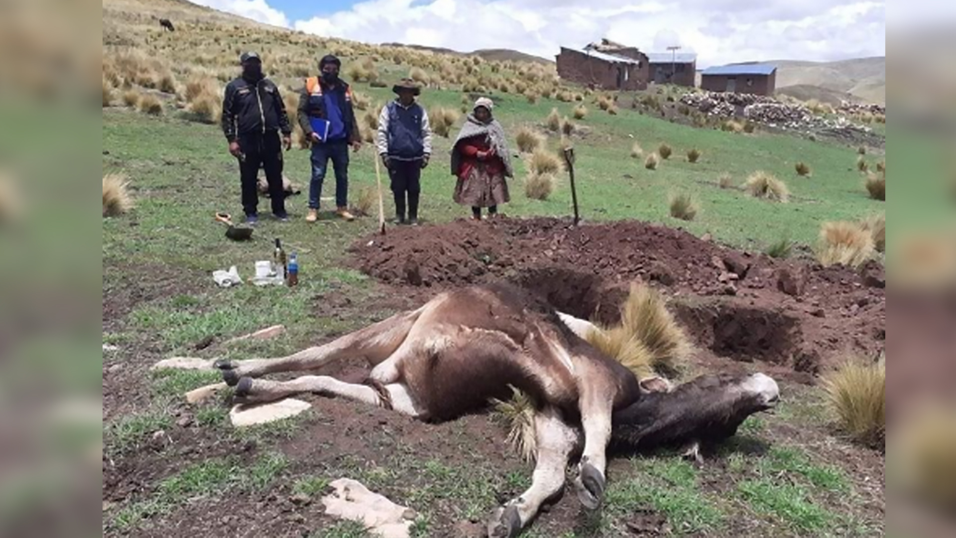 Descarga eléctrica ocasionó la muerte de un toro