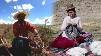 Gremios de productores agrícolas y textiles de Puno