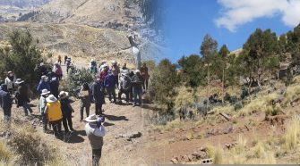 Invasión de terrenos del bosque de Salcedo