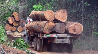 Declaran en emergencia provincia de Amazonas