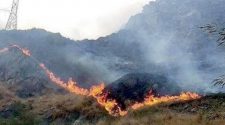 Incendio forestal