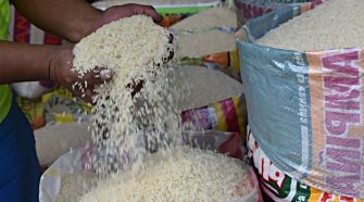 Productores de Arroz