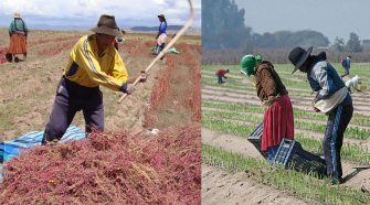 Productores agrarios