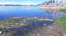Contaminación Lago