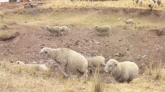 Sequía en Puno