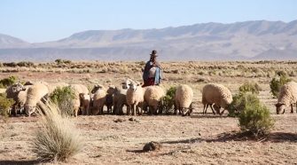 Sequía en Puno