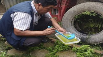 Realizan inspección domiciliaria tras encontrar vectores del dengue