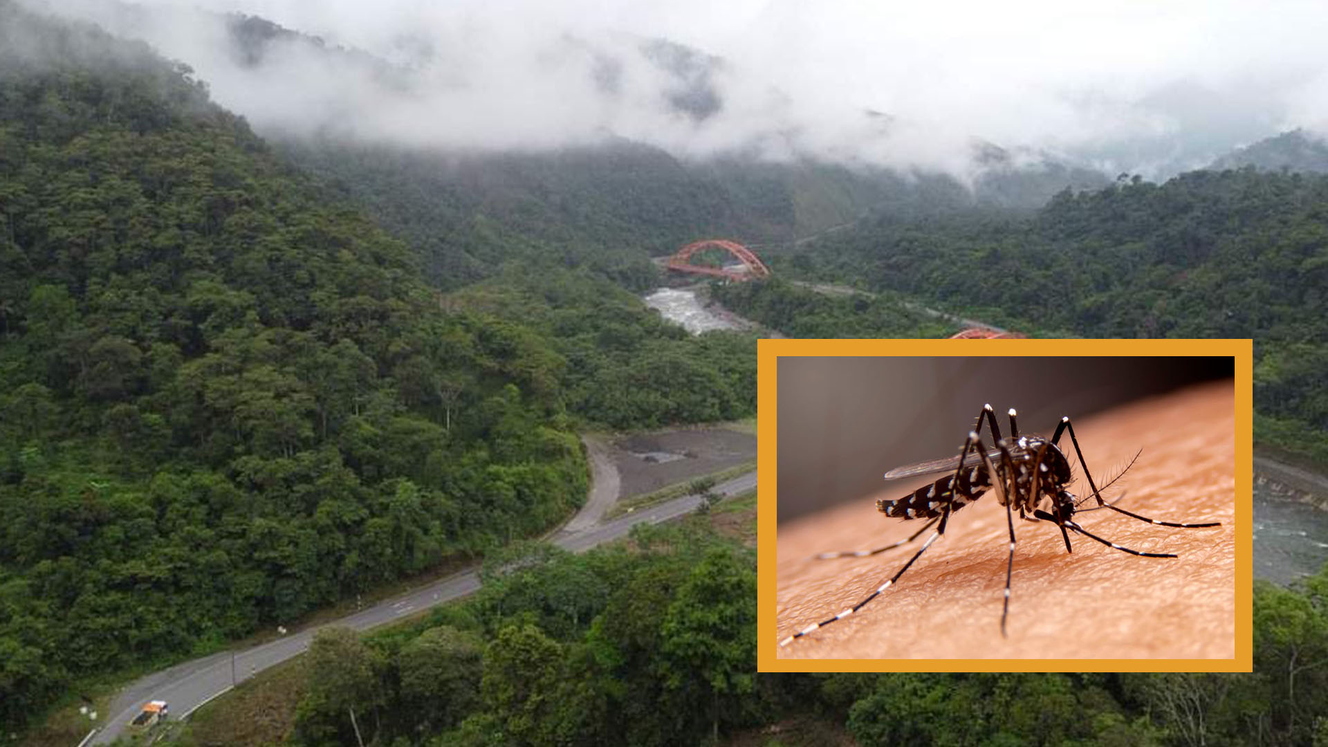 Identifican más de 58 casos de dengue en San Gabán