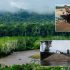 Madidi