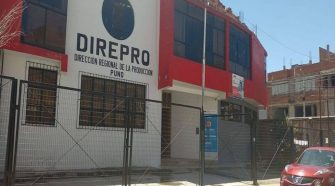 DIREPRO Puno