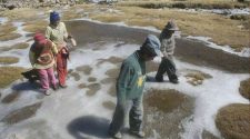 Heladas seguirán en el altiplano puneño