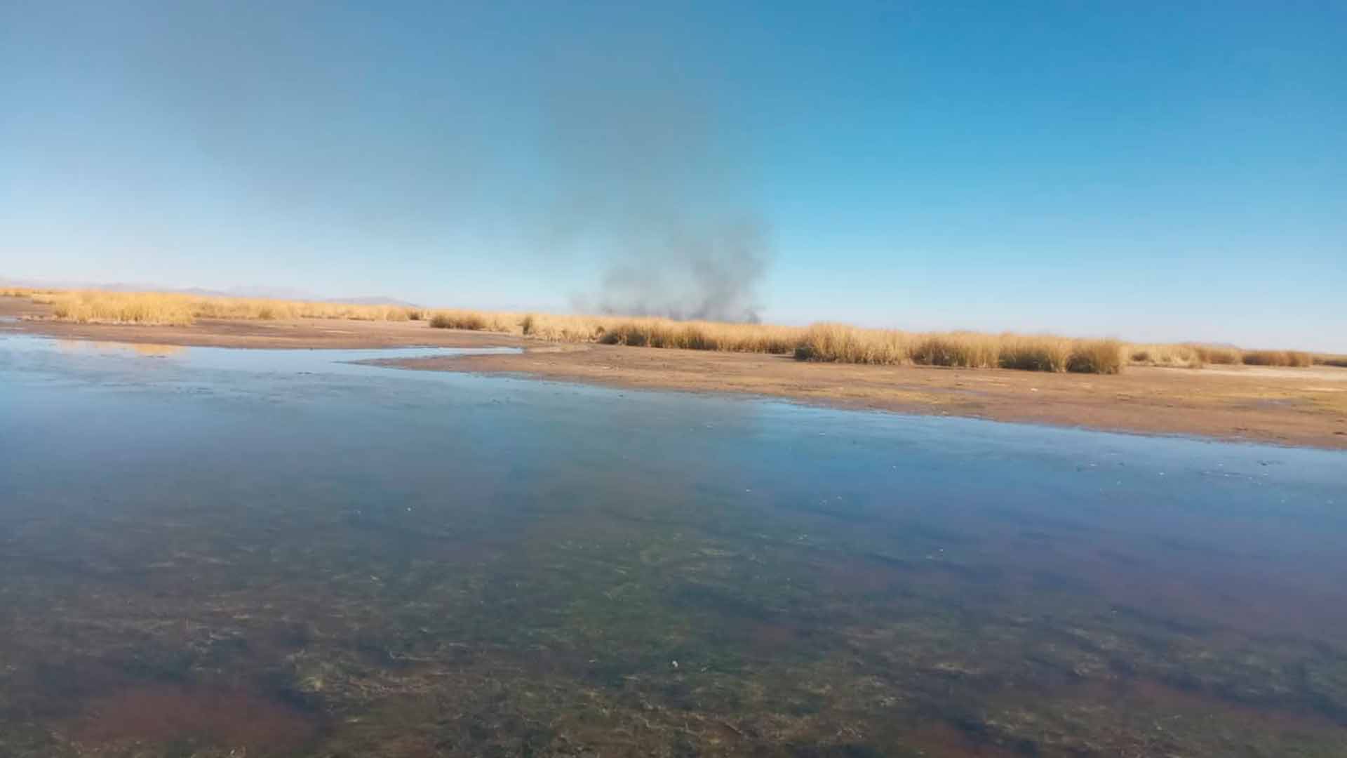 quemaron grandes extensiones de totorales en el distrito de Huata