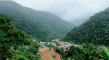 Selva Puneña