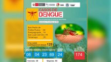 Casos de dengue en Sandia