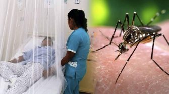 Reportan 123 casos confirmados de dengue