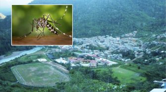 plan anual de prevención y control de Dengue