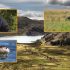 15 especies en peligro de extinción en la región Puno