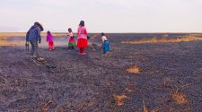 Incendios forestales