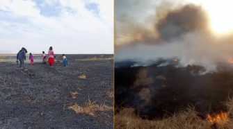 Incendio forestal