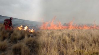 Incendio forestal en Tiquillaca