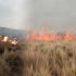 Incendio forestal en Tiquillaca