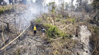 Incendios forestales en San Martín