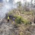 Incendios forestales en San Martín