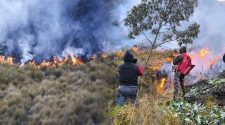 Incendios forestales en Ancash