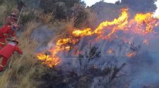 Incendios forestales en la región Puno