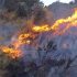 Incendios forestales en la región Puno