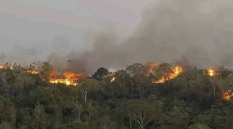 Incendios forestales