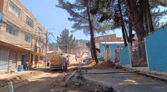 árbol de más de 50 años al borde del colapso