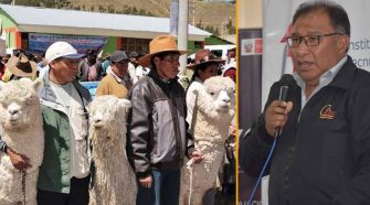 Director del CITE Camélidos Sudamericanos de Puno