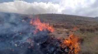 Incendios forestales en la región Puno