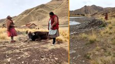 contaminación del río Ramis