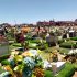 Cementerio de Juliaca