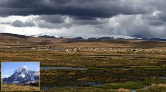 Glaciares y bofedales