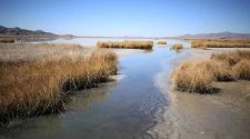 lago Titicaca