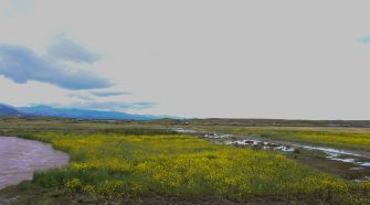 Desborde de río Cabanillas