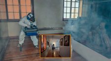 Fumigan Museo Carlos Dreyer