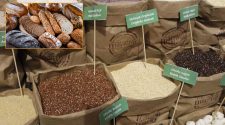 Granos andinos en la producción de pan