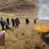 Incendios forestales