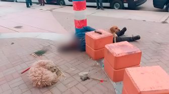 Perrito no abandona el cuerpo de su dueño